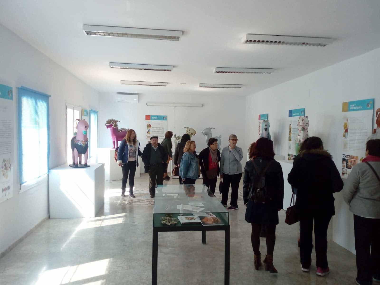 IMG-5 (1)