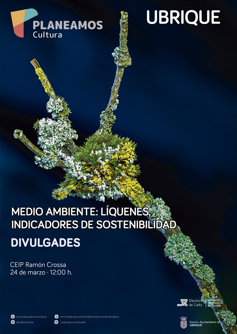 24-UBRIQUE-liquenes