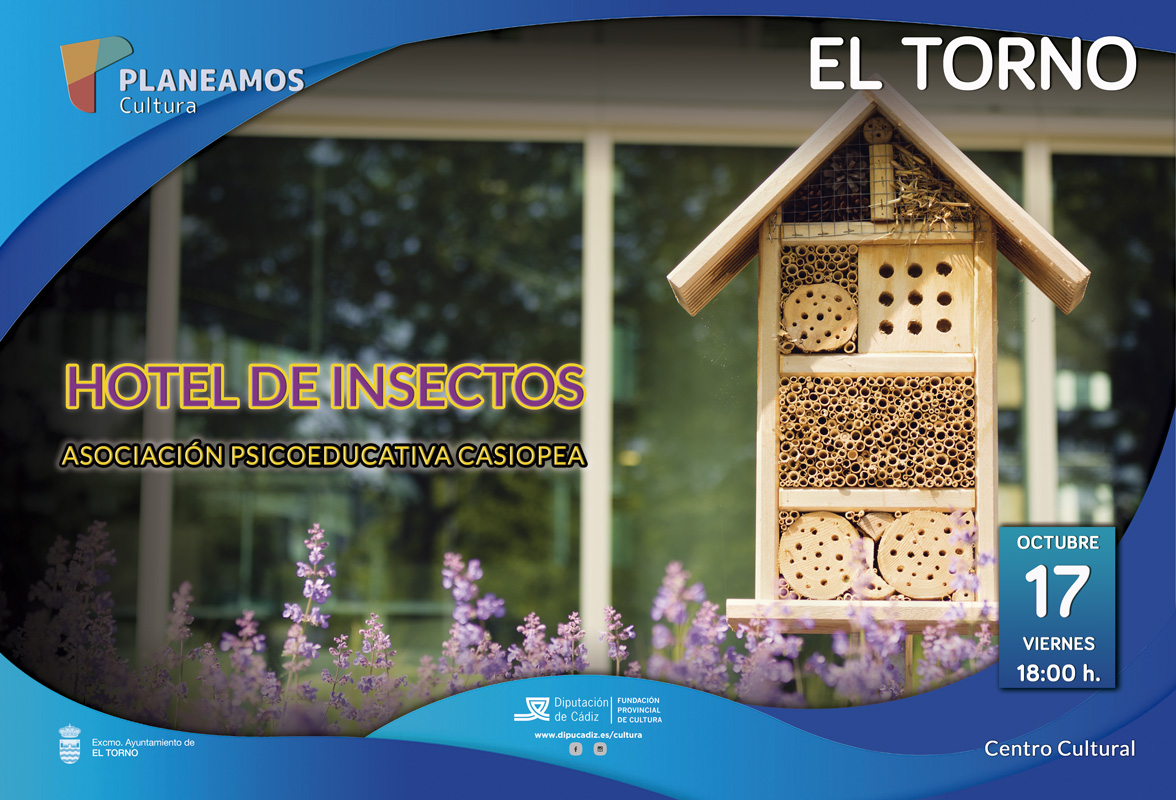 17-El-Torno