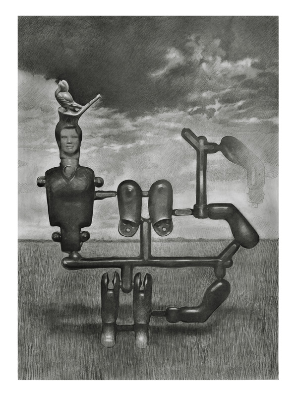 PÁJAROS_EN_LA_CABEZA. Carbón sobre papel. 200 x 160 cms. 2019