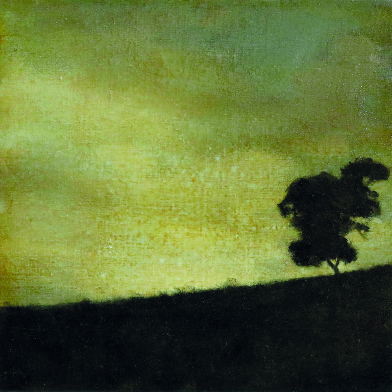 22x22 paisaje2