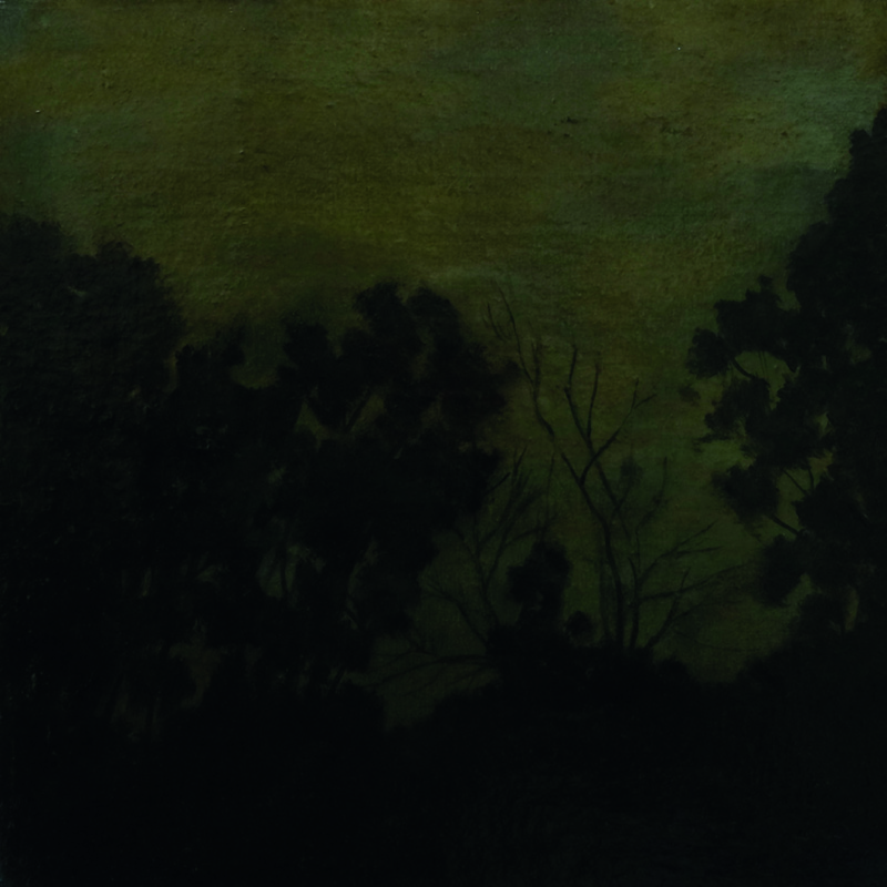 22x22paisaje4