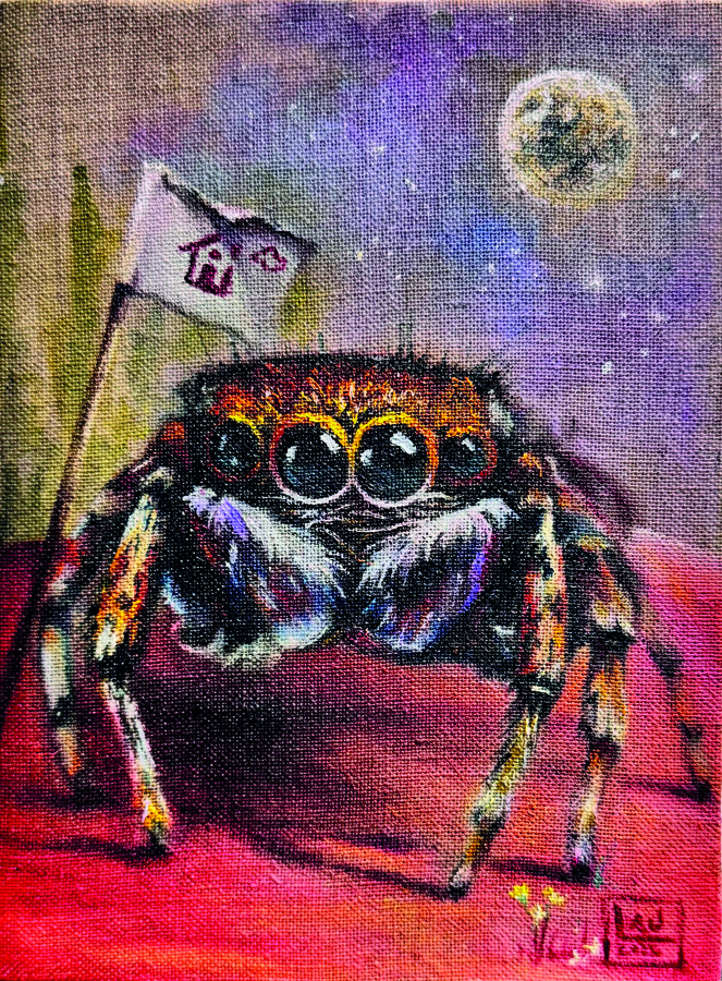 araña
