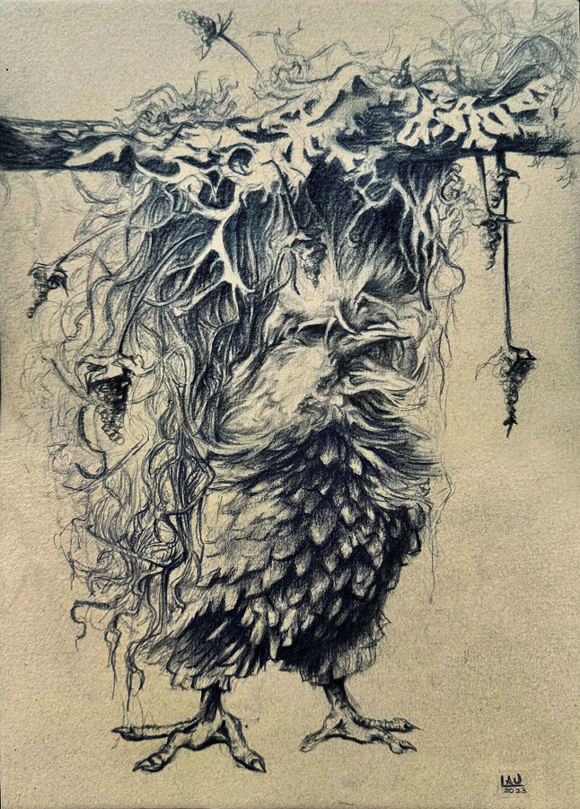 Boceto