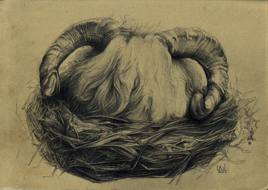 Boceto