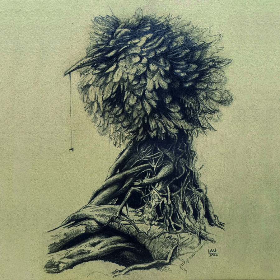 Boceto