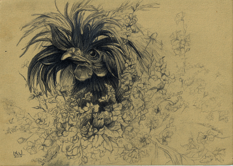 Boceto