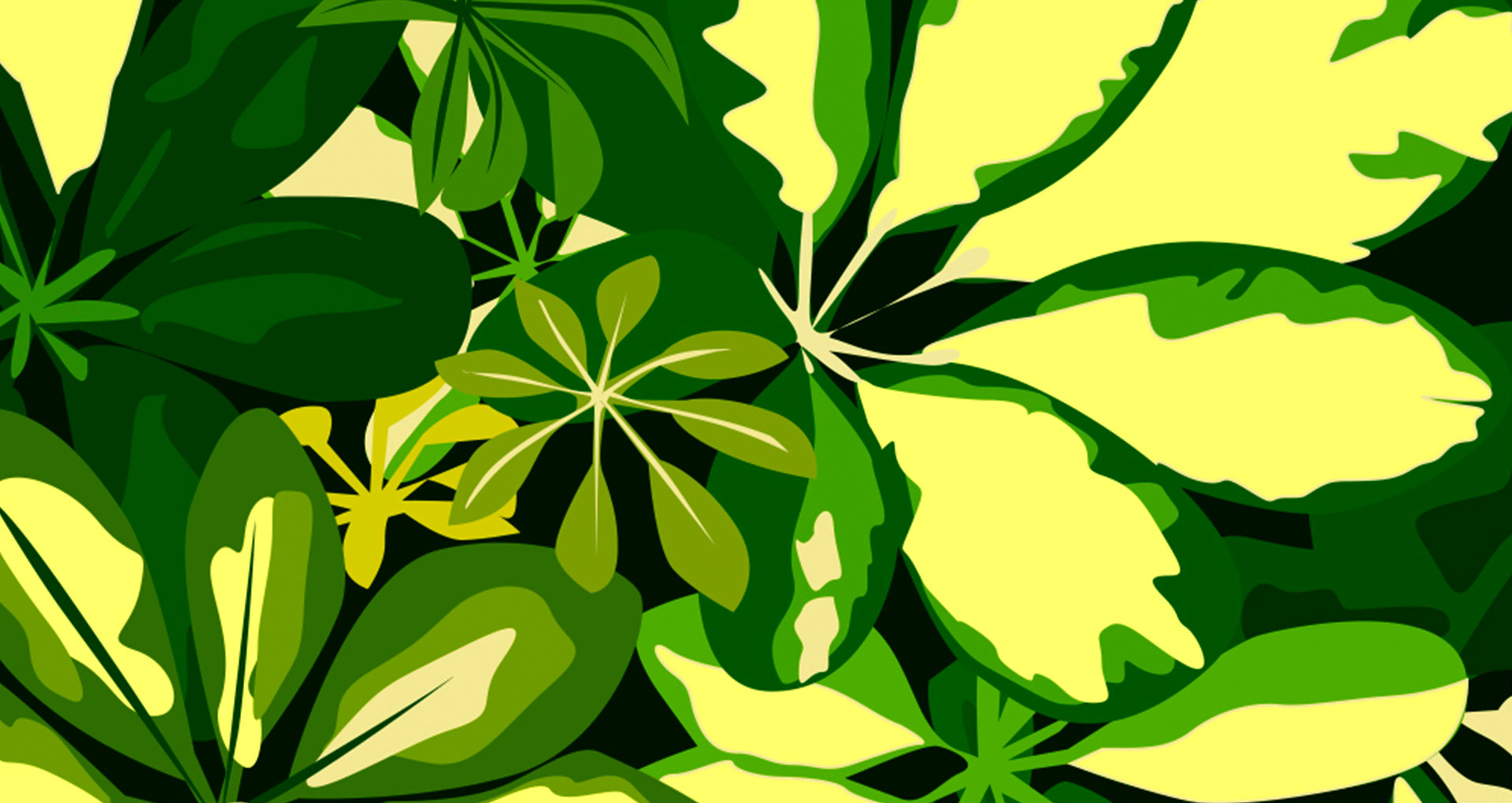 Banner Migita Dakota