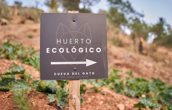 hotel-cueva-gato-exteriores-1