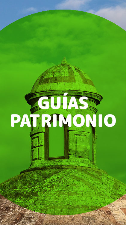 Botón Descarga Patrimonio