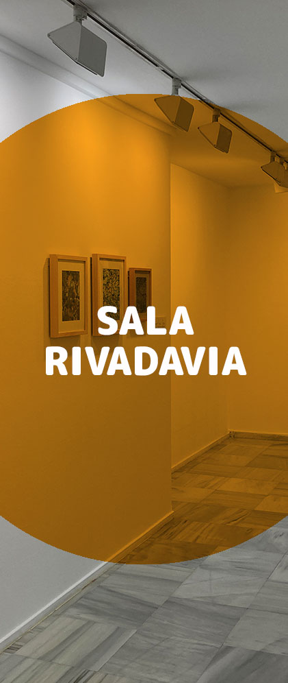 Botón Sala Rivadavia