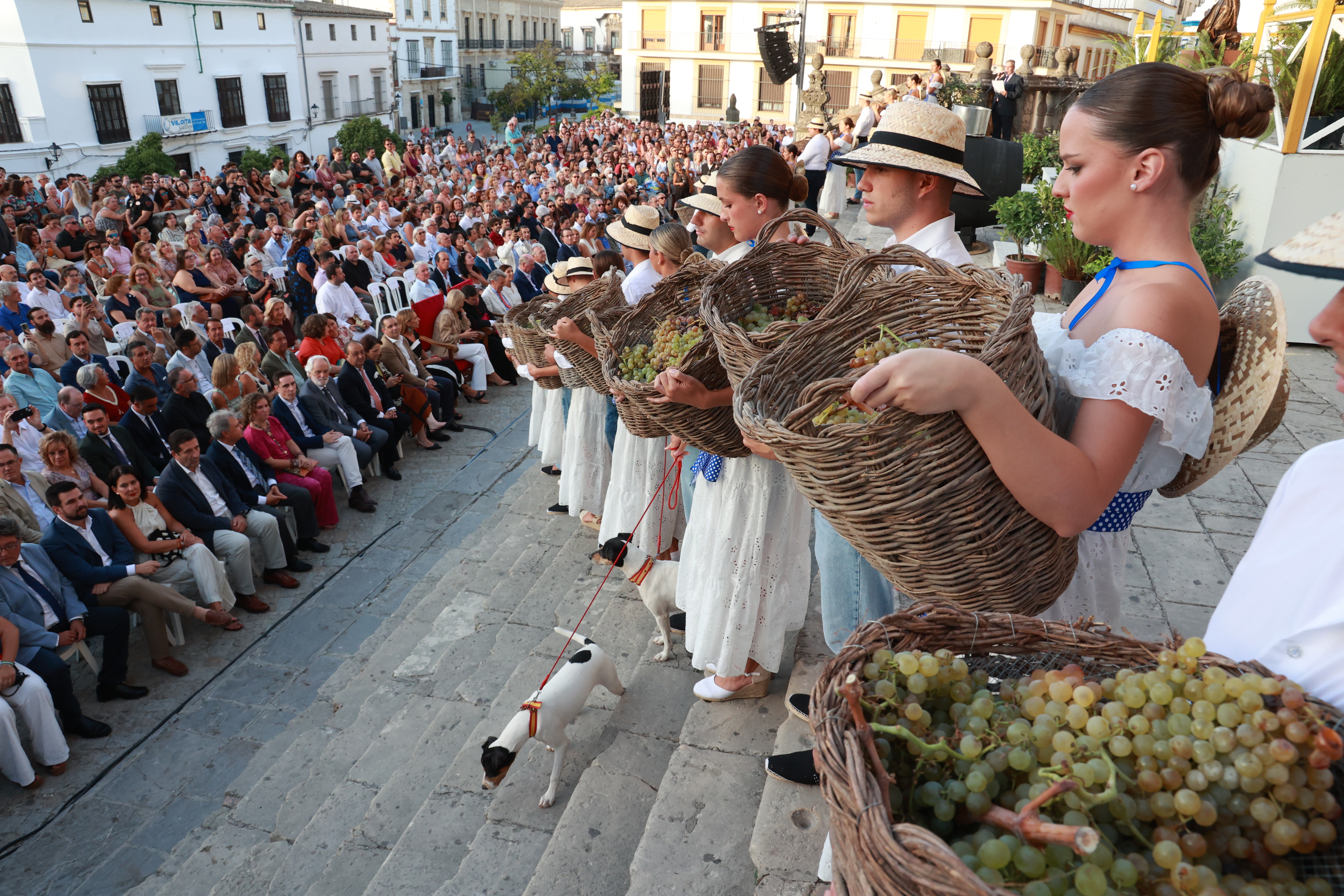 Pisa de la Uva en Jerez (4)