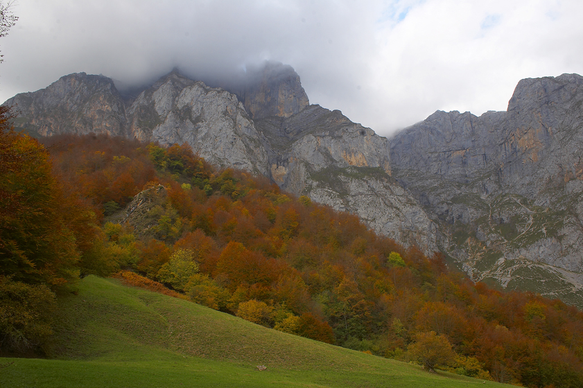 Hayedo-
