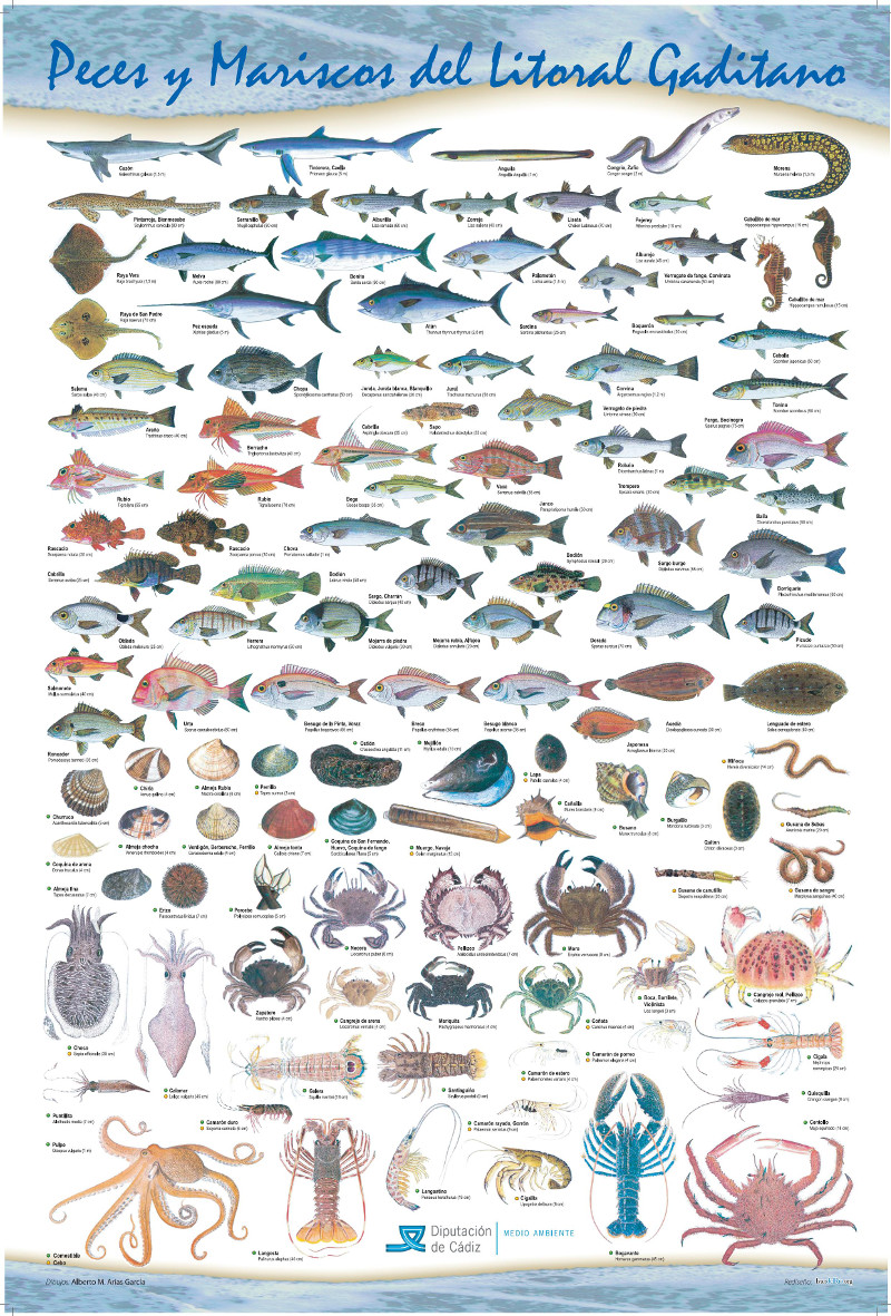 peces_y_mariscos